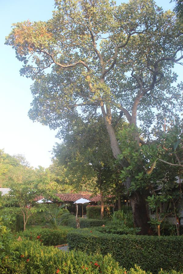 ホテル ランタ ハッピー ヒル Ko Lanta エクステリア 写真
